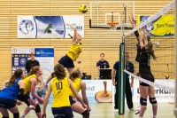 DSHS SnowTrex Köln zähmt die Stralsunder Wildkatzen (Foto: Martin Miseré)