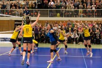 DSHS SnowTrex Köln mit viertem Auftritt im DVV-Pokal (Foto: Martin Miseré)