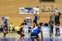 DSHS SnowTrex Köln gastiert vor der Winterpause bei den Gladbecker Giants (Foto: Martin Miseré)