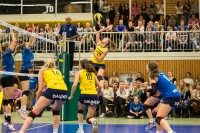DSHS SnowTrex Köln mit dem nächsten Doppel-Heimspielwochenende (Foto: Martin Miseré)