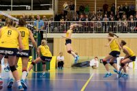 DSHS SnowTrex Köln stoppt Stralsunds Serie (Foto: Martin Miseré)
