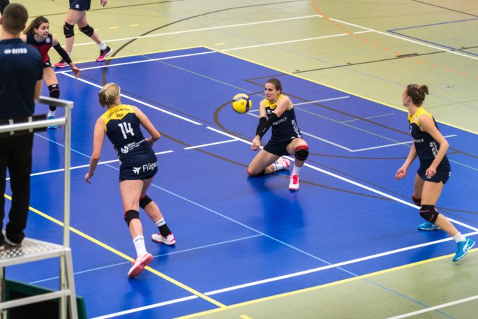 Der Kern vom Team DSHS SnowTrex Köln bleibt – Teil 2 Der Kern vom Team DSHS SnowTrex Köln bleibt – Teil 2