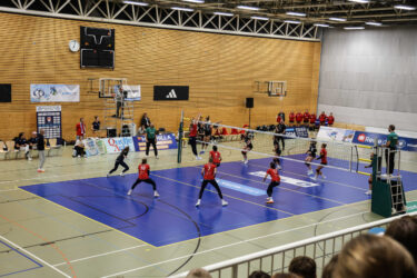 BBSC Berlin kommt nach Köln – Auftakt ins Heimspiel-Wochenende