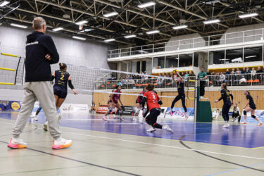 DSHS SnowTrex Köln vor anspruchsvoller Aufgabe: Gastspiel bei den Wildcats