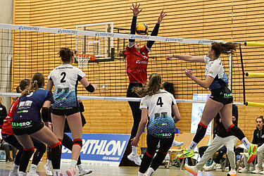 Spannung garantiert: DSHS SnowTrex Köln vor schwerer Aufgabe in Dresden