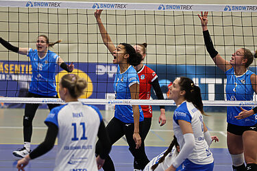 Showdown in der Muldentalhalle: DSHS SnowTrex Köln will Serie ausbauen – Grimma kämpft um die Wende