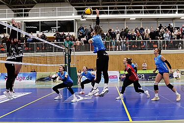 Blitzstart, Kontrolle, Heimsieg: Köln startet perfekt in die Rückrunde