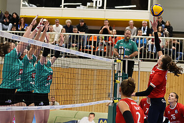 Köln reist nach Markkleeberg: DSHS SnowTrex Köln will Negativserie stoppen – Helau oder Alaaf, das ist die Frage