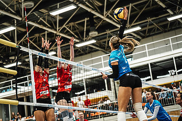 Auch im Rückspiel kein Kraut gewachsen: DSHS SnowTrex Köln verliert 1:3 gegen TVP