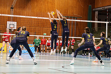 DSHS SnowTrex Köln vs. TV Planegg-Krailling: Heimspiel mit Revanchechance