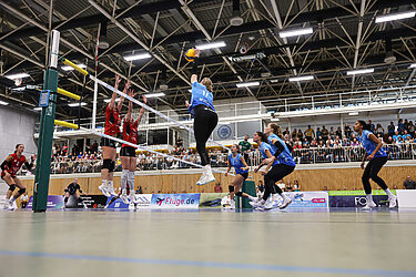 Ausverkauftes Derby, bitteres Ende: DSHS SnowTrex Köln unterliegt den BayerVolleys