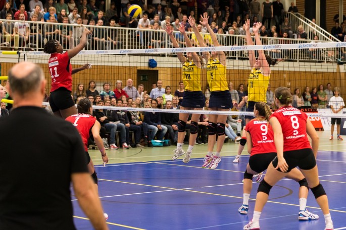 DSHS SnowTrex Köln in DVV-Pokal-Qualifikation in Erkner gefordert
