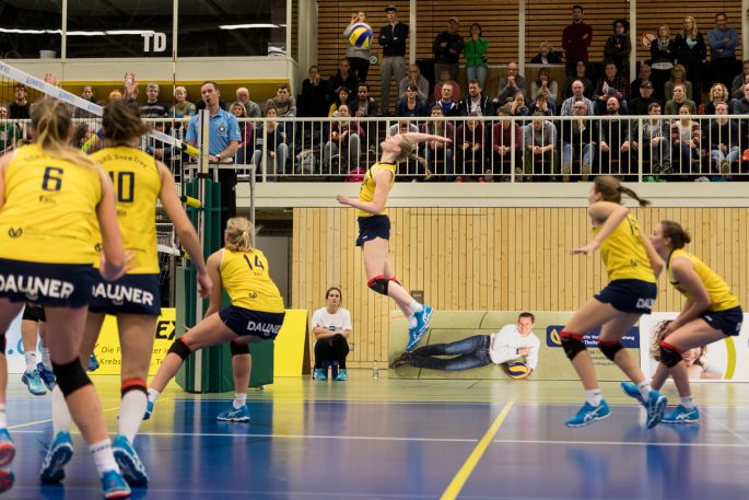 DSHS SnowTrex Köln stoppt Stralsunds Serie